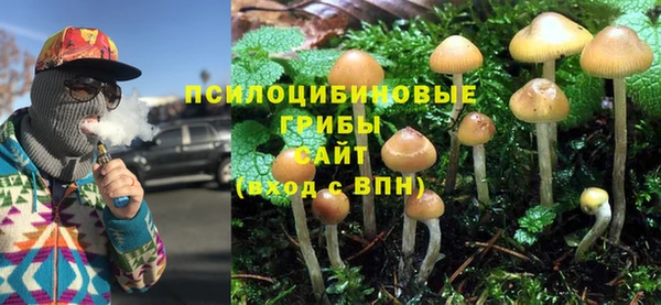 PSILOCYBIN Верхнеуральск